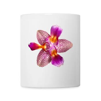 Phalaenopsis Joy Fairy Tale peloric Orchideenblüte - Tasse - Weiß - Vorne