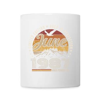 June 1987 38th Anniversary Gift June 1987 Retro - Mug - white - Front