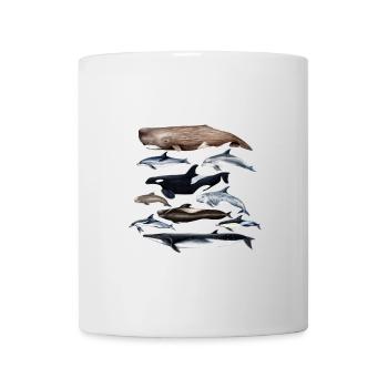 Wale und Delfine Wale und Delfine Wale und Delfines - cétacés - Tasse - Weiß - Vorne