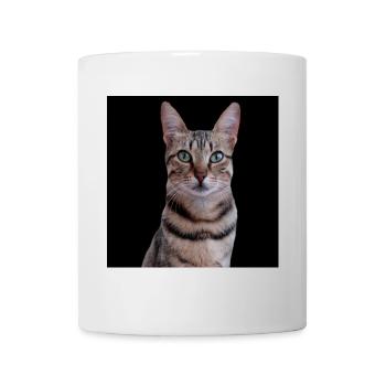 Chats chats - Mug blanc - blanc - Devant