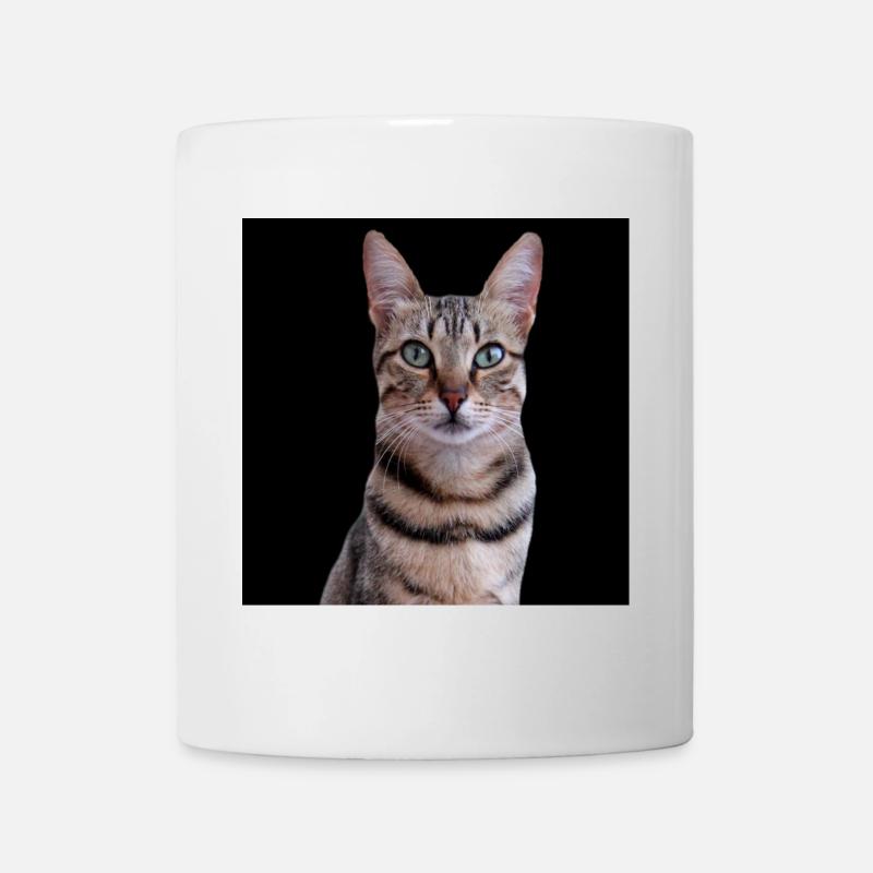 Katze Katzen - Tasse - Weiß