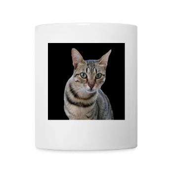 Chats chats - Mug blanc - blanc - Devant