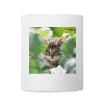 Chaton timide mais curieux - Mug blanc - blanc - Devant