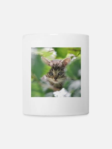Shy but curious kitten - Mug - white