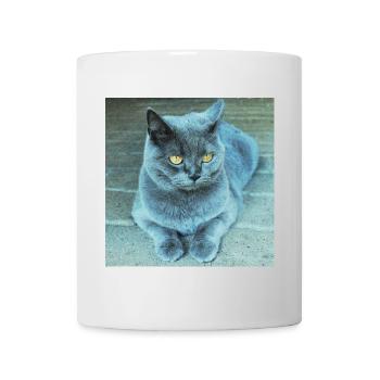 Gray Blue Cat with Golden Eyes - Mug - white - Front