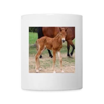 Pferd Pferdeposter - Tasse - Weiß - Vorne