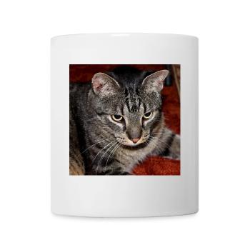 Chaton Chaton - Mug blanc - blanc - Devant