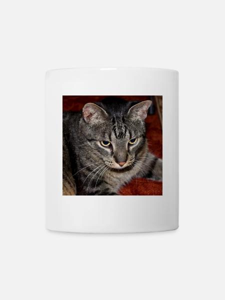 Katze Kätzchen - Tasse - Weiß