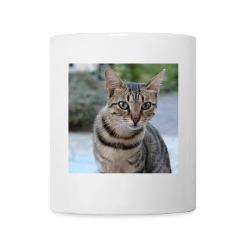 Katze Kätzchen Poster quadratisch Katzenposter - Tasse - Weiß - Vorne