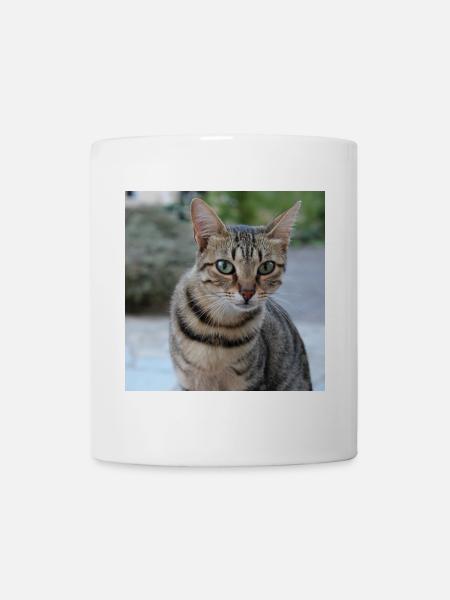 Katze Kätzchen Poster quadratisch Katzenposter - Tasse - Weiß