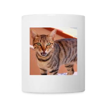 Katze Kätzchen Poster quadratisch Katzenposter - Tasse - Weiß - Vorne