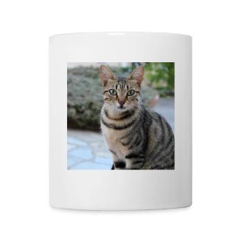 Chat chaton affiche chat carré affiche - Mug blanc - blanc - Devant