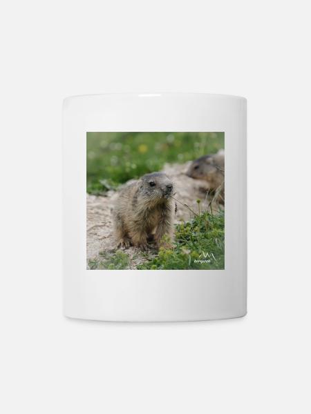 Murmeltier neugierig 4 - Alpenmotiv ganz nah - Tasse - Weiß