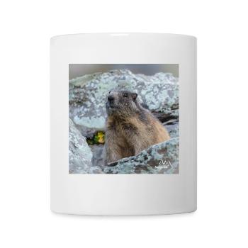 Murmeltier Porträt 6 - Alpen Deko und Geschenkidee - Tasse - Weiß - Vorne