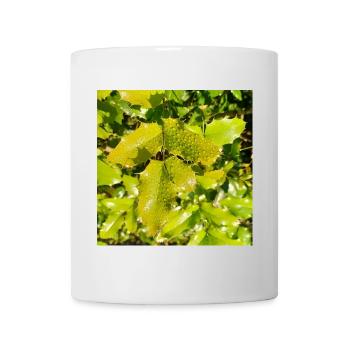 Mahonia / Warm autumn feeling - Tasse - Weiß - Vorne