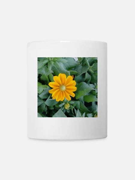 Rauer Sonnenhut / gelbe Strahlenblüte - Tasse - Weiß