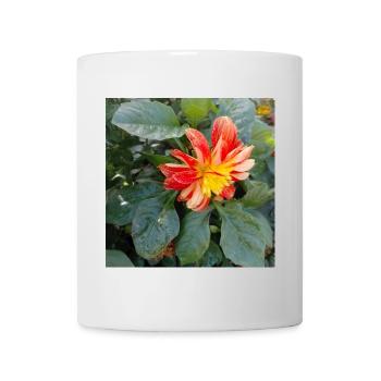 Georgine / Large-pinnate dahlia - Mug - white - Front