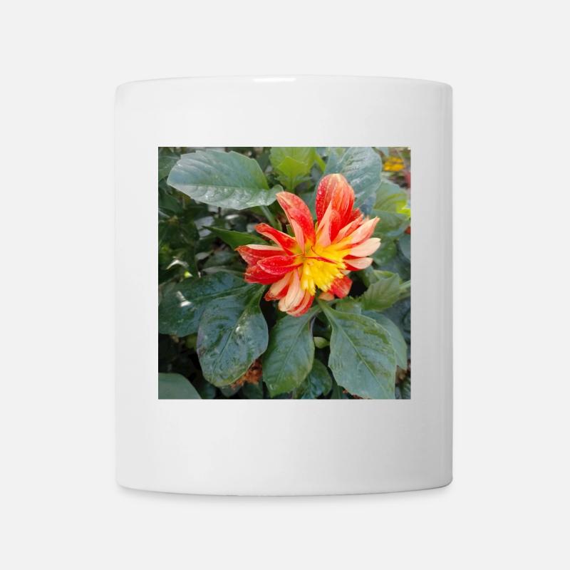 Georgine / Large-pinnate dahlia - Mug - white