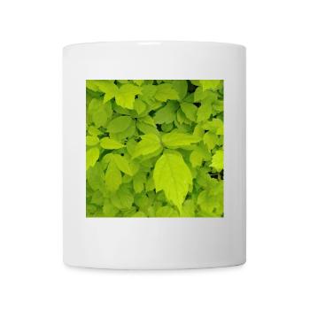 Eschen Ahorn / Acer negundo - Tasse - Weiß - Vorne