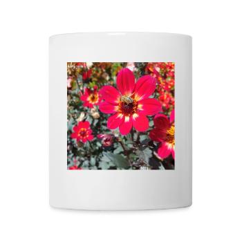 Grossfiedrige Dahlie / Bienenpflanze - Tasse - Weiß - Vorne