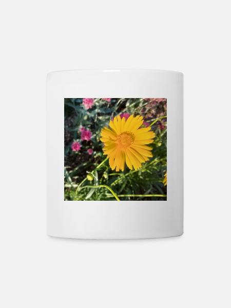 Sunbeam Yellow Blossom / Maiden's Eye - Mug - white