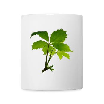 Junges Blattwerk – Grüner Blattzweig - Tasse - Weiß - Vorne