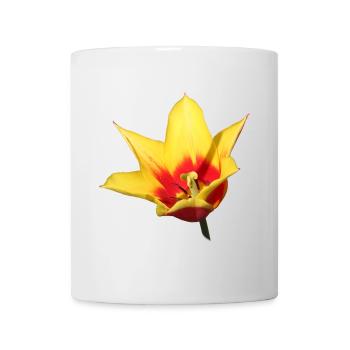 Tulip – Spring Awakening in Color - Mug - white - Front