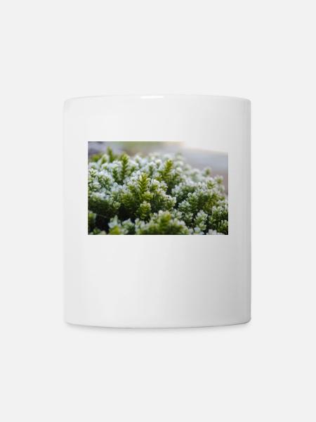 Moos Natur Makro Shot - Tasse - Weiß