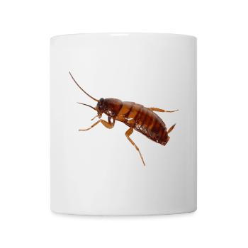 Cafard insecte cafard cafard - Mug blanc - blanc - Devant