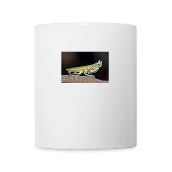 Creobroter cf nebulosus - Flower mantis - Tasse - Weiß - Vorne