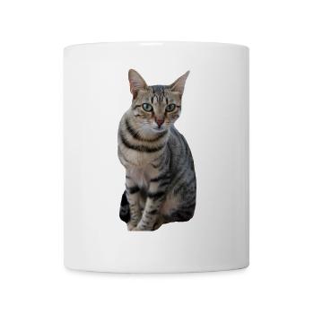 Cat Kitten - Mug - white - Front