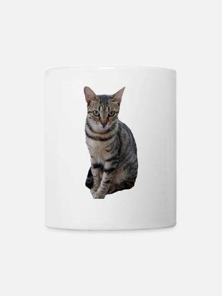 Chat chat chaton doux - Mug blanc - blanc