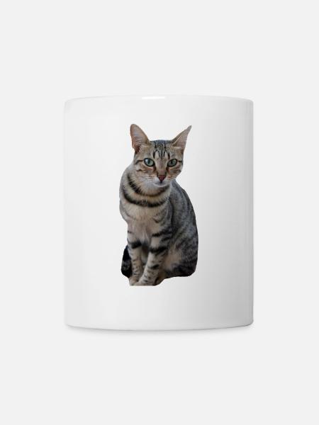 Katze Katzen Kätzchen Geschenkidee Weihnachten - Tasse - Weiß