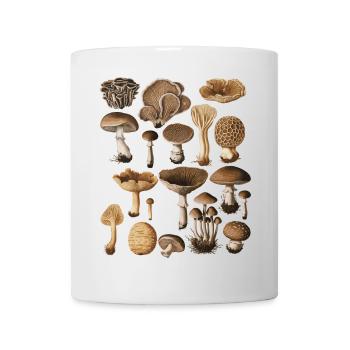 Fungi Collection Mushroom Variety Design - Mug - white - Front