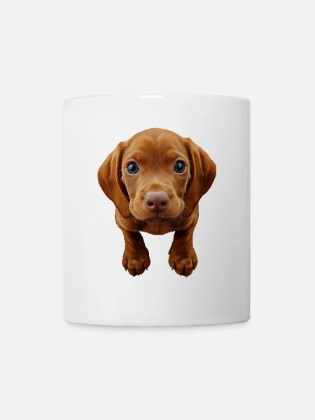 Vizsla - Tasse - Weiß