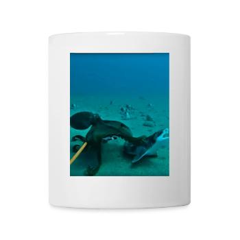 Unterwasser Kraken Rochen - Tasse - Weiß - Vorne