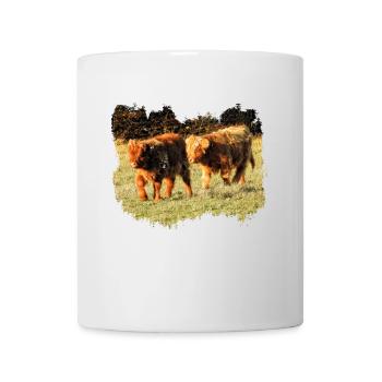 Two shaggy highland calves in the pasture - Mug - white - Front
