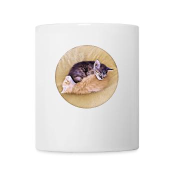 Zwei schlafende Tabby-Kätzchen, die sich gegenseitig halten - Tasse - Weiß - Vorne