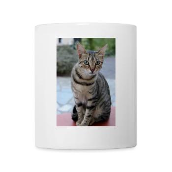 Katze Kätzchen Poster Katzenposter - Tasse - Weiß - Vorne