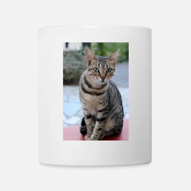 Katze Kätzchen Poster Katzenposter - Tasse - Weiß