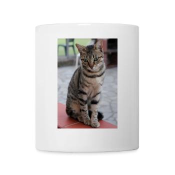 Katze Kätzchen Poster Katzenposter - Tasse - Weiß - Vorne