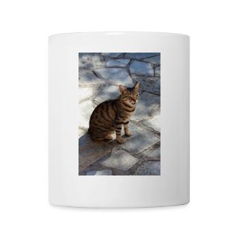 Katze Kätzchen - Tasse - Weiß - Vorne