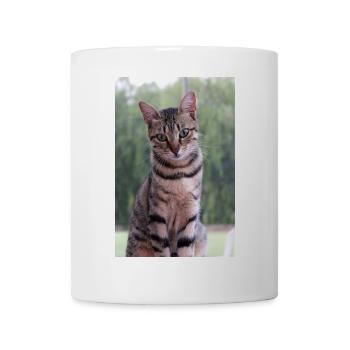 Katze Kätzchen - Tasse - Weiß - Vorne