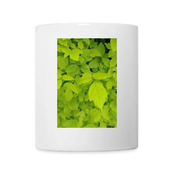 Eschen Ahorn / Acer negundo - Tasse - Weiß - Vorne