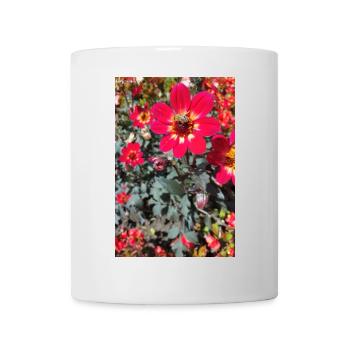 Grossfiedrige Dahlie / Bienenpflanze - Tasse - Weiß - Vorne