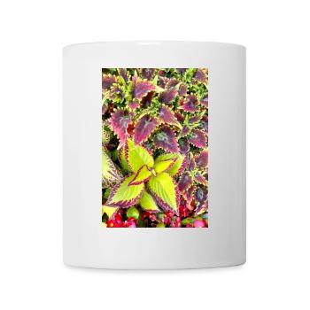 Coleus Colour Play Leaves/ Nettle - Mug - white - Front