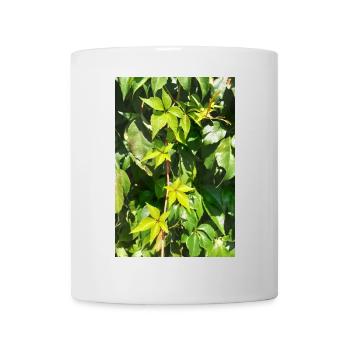 Vin sauvage jeune - Mug blanc - blanc - Devant