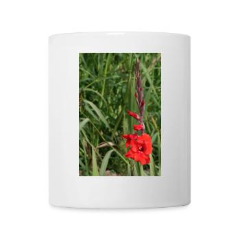 Gladiole – Stärke in Blüte - Tasse - Weiß - Vorne