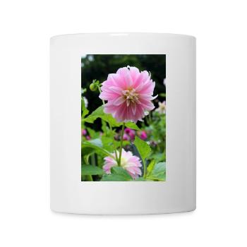 Dahlia Pink Pink Blossom ,Flower - Mug - white - Front