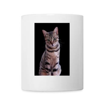 Cat cat sweet kitten - Mug - white - Front